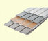 Rekabetçi WPC Elementleri Fiyat Depolama için PVC Vinil Garaj Duvar Paneli